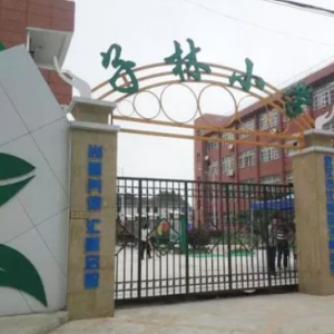 汉南区子林小学