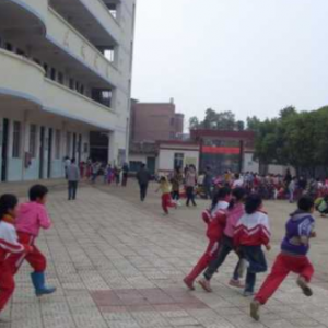 玉贤镇蝙蝠小学