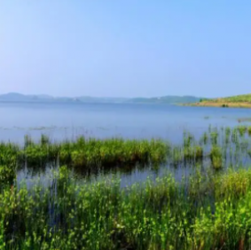 湖北金沙湖国家湿地公园