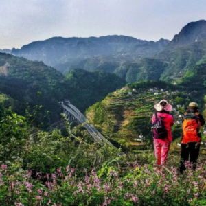 杨家河富裕山