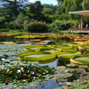 北京植物园