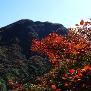 幽岚山景区