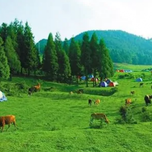 石柱千野草场