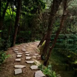 金凤镇全民健身登山步道