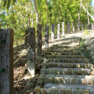 走马镇全民健身登山步道