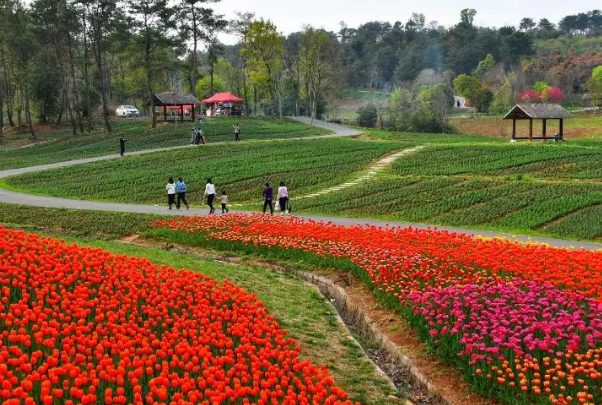 钟祥万紫千红植物园