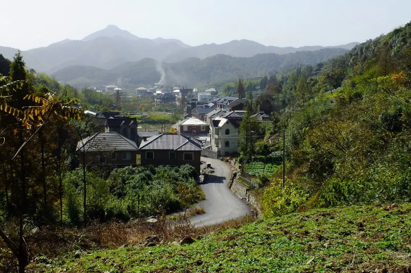 花台山村