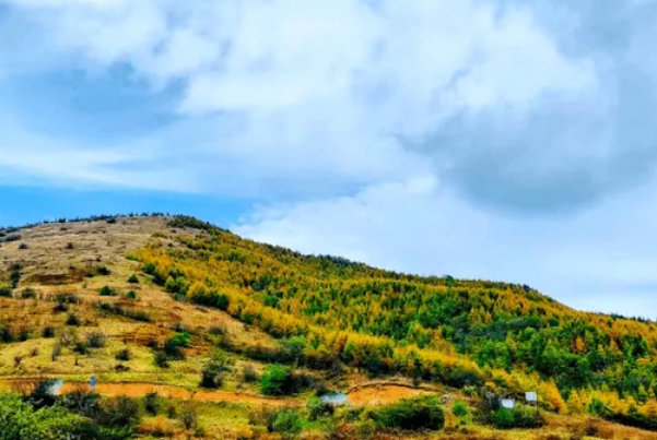 黄安坝高山草场