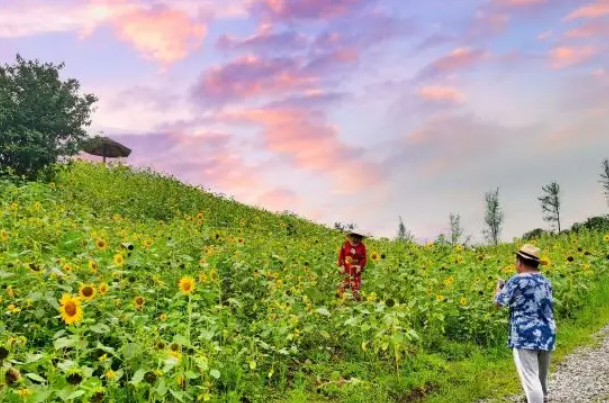 静观花木生态旅游区