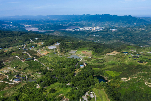 西山坪村