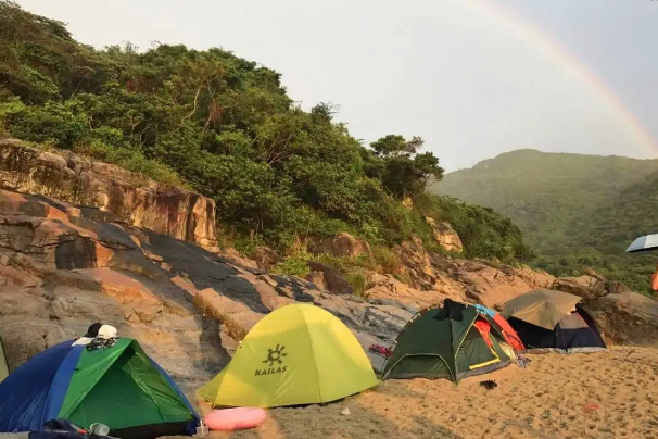 大鹿湾露营