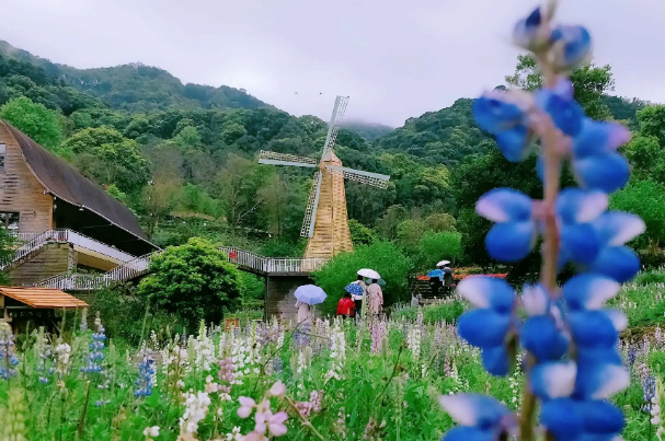 二龙山花园