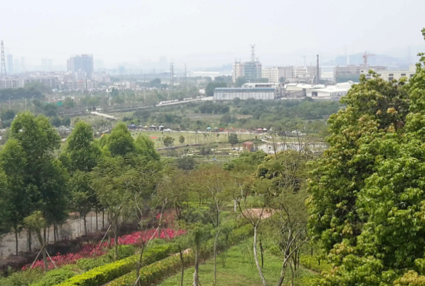 增城区万亩生态园