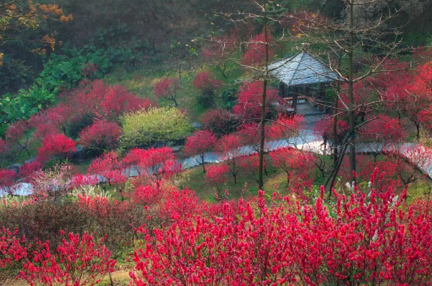 白云山桃花涧