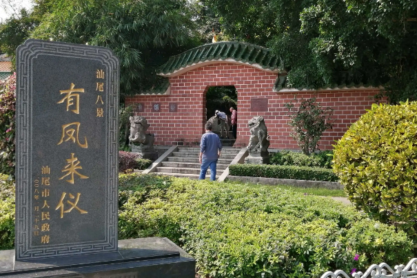 有凤来仪