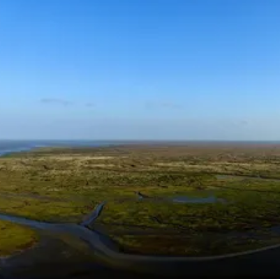 九段沙湿地