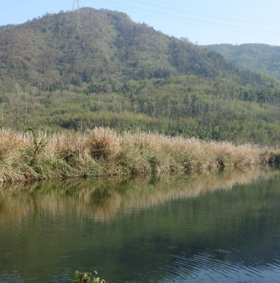 青龙湾固沙林自然保护区