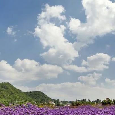 白云蓬莱仙界·白云休闲农业旅游景区