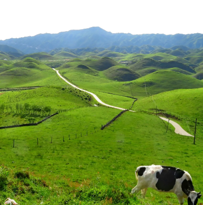 湖南南山牧场