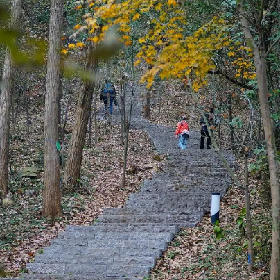 老山国家森林公园