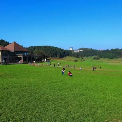 仙女山国家森林公园