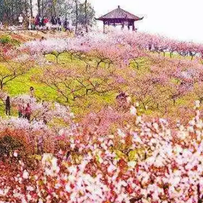 重庆永川桃花源旅游度假区