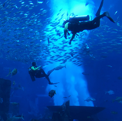 三亚亚特兰蒂斯失落的空间水族馆