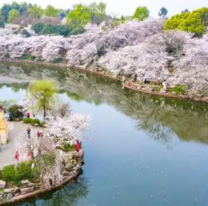 湖南省植物园