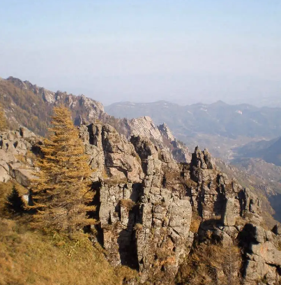 芦芽山