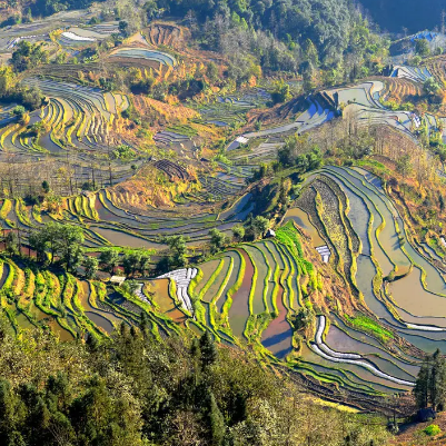 哈尼梯田国家湿地公园