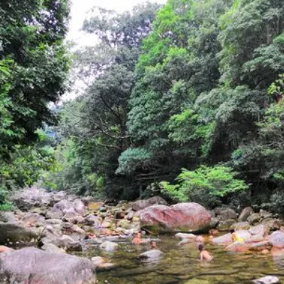 十万大山国家森林公园