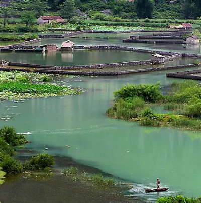 布镜湖