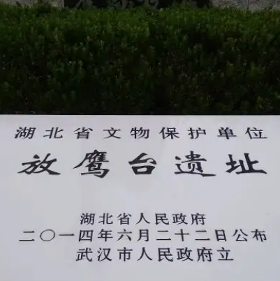 龙湾放鹰台遗址