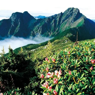 台湾玉山