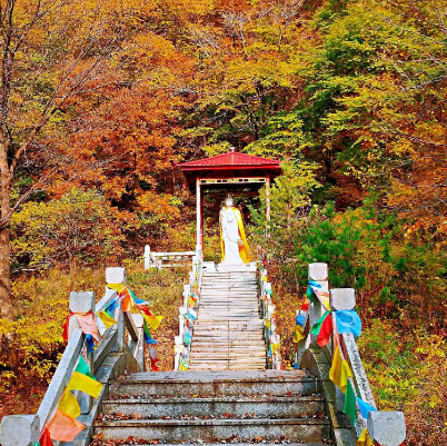 庆岭风景区