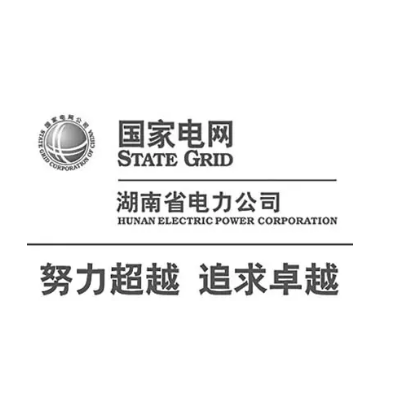 国网湖南省电力有限公司