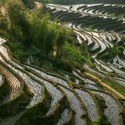 遂川县