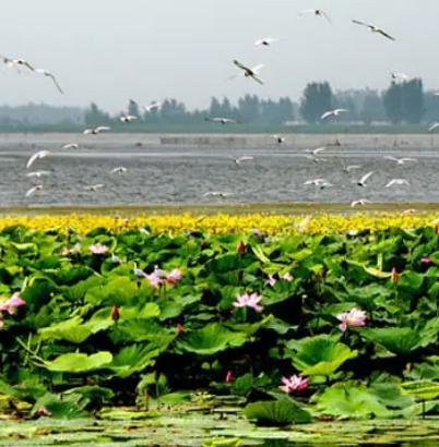 沈阳珍珠湖