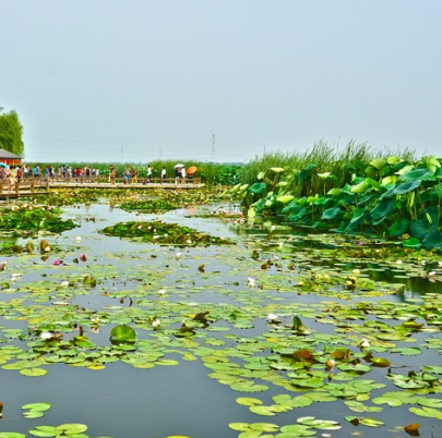 莲花湖湿地