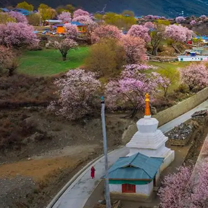 林芝桃花沟