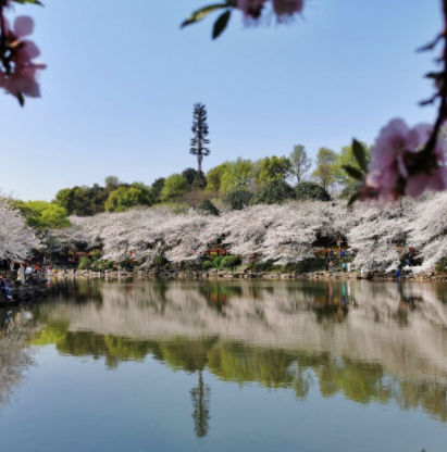 湖南省森林植物园