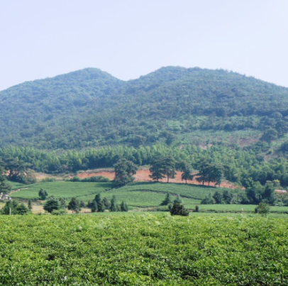 龙池山