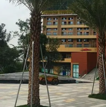 湾景中葡小学