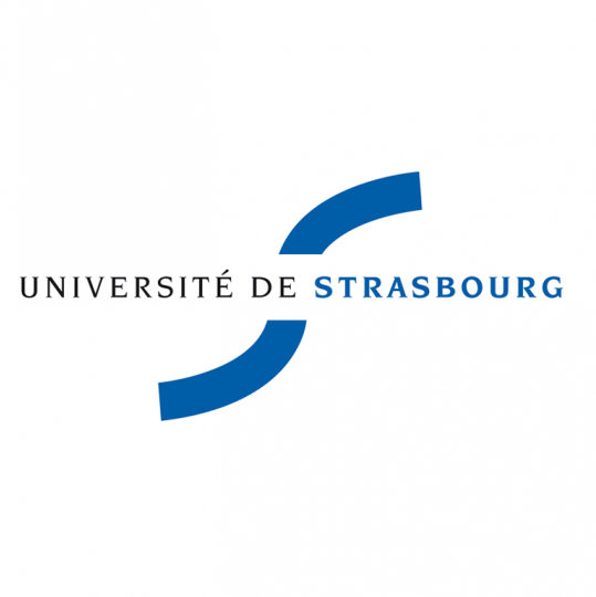 斯特拉斯堡大学