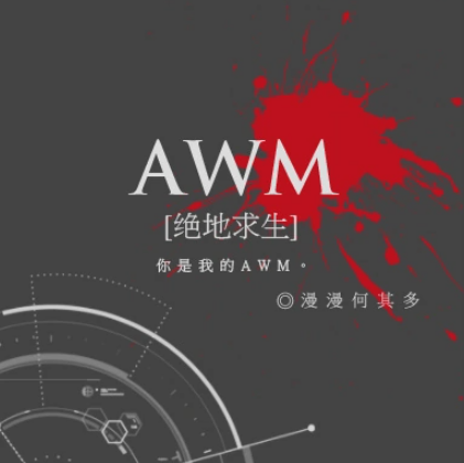 AWM绝地求生