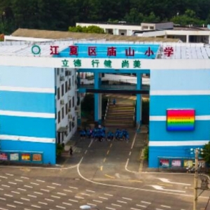 江夏区庙山小学