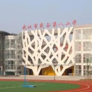 武汉市光谷第八小学