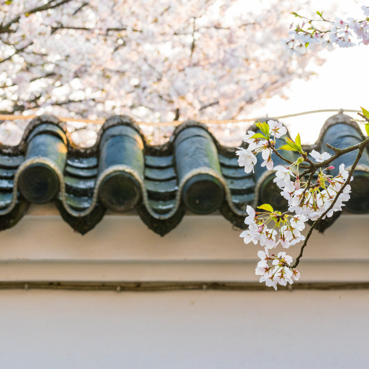 题金山寺