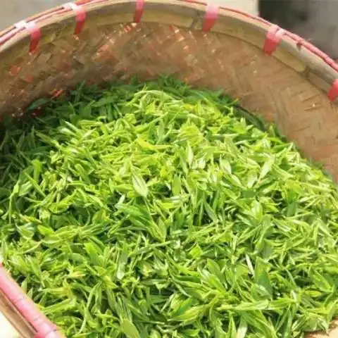 荆溪云片