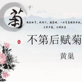 不第后赋菊